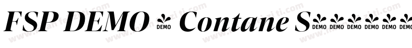 FSP DEMO - Contane S字体转换